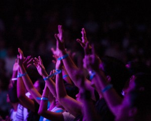 _MG_0355